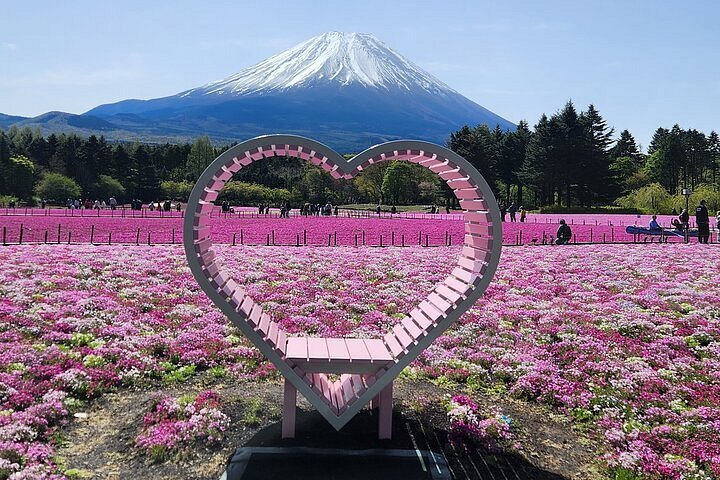 🏞️ 세타가야 구립 아카마츠 공원 이미지 1